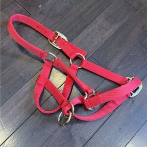 Red Yearling Halter